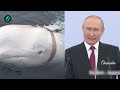 india வின் hypersonic ஆயுதம் new update russian spy whale tarang shakti 2024 oneindia tamil