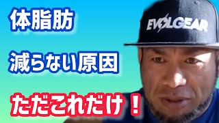 筋トレしても有酸素運動をしても、体脂肪が減らない原因はただこれだけ！ 【切り抜き】Hidetada Yamagishi