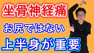 【坐骨神経痛】お尻ではない！上半身から坐骨神経痛を治すストレッチ！【埼玉県蕨市 整体院羽翼 TSUBASA 】