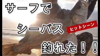 荒れたサーフはいつもと違う魚種が釣れるチャンスタイム！？