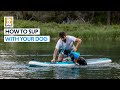 How to SUP With Your Dog