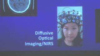 A Look Inside the Human Brain
