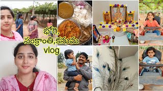 ఈసారి పండగ ఇలా కానిచ్చాము //peacock feathers in garden//bhogi, Sankranti,kanuma vlog