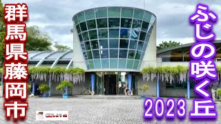 【ふじの咲く丘】【藤岡市】ふじの咲く丘2023（群馬県藤岡市）