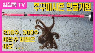 쭈꾸미낚시대 잘 골라야 하는 이유! 고인물의 쭈꾸미낚시대추천 뭐가 다를까?