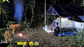 nekat camping di pintasan binatang buas.🤧🤧😵