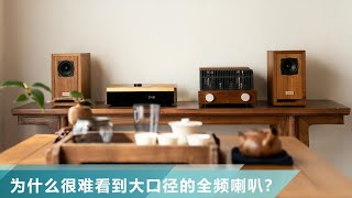 【堂主聊音響】為什麼音響中，很難看到大口徑的全頻喇叭？