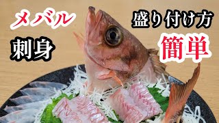 沖メバルの姿造り！激ウマウスメバル（柳バチメ）の捌き方と刺身の作り方