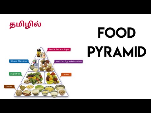 Food Pyramid In Tamil | B.Ed Syllabus | Semester - 4 | Yoga, Health And ...