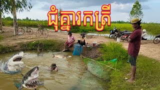 អ្នកភូមិរកត្រីជាមួយគ្នាបែបសប្បាយៗ My villagers fish happily together | Pring TV