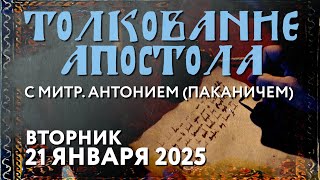 Вторник, 21 января 2025 года. Толкование Апостола с митр. Антонием (Паканичем).