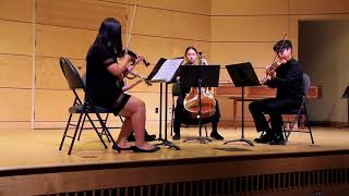 Youth Chamber Music Quartet - Langley Surrey