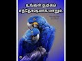 உங்கள் துக்கம் சந்தோஷமாய் மாறும் your sorrow will turn into joy.