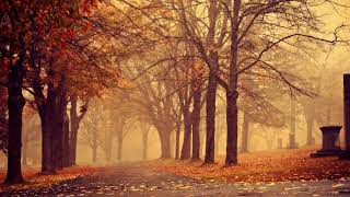 პოეზია. გალაკტიონი. შემოდგომის დილა / Poetry.  Galaktion.  Autumn morning