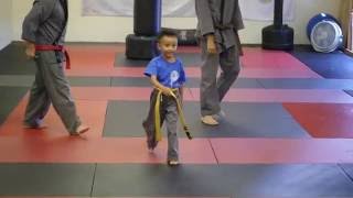 Hapkido at SAMMA Seattle