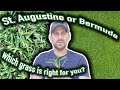 Bermudagrass vs. St. Augustine Grass // Which Warm Season Turf is Right for Your Lawn?