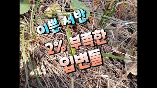 단엽캐는 것도 실력 같아요#잘 옥은 입변#이쁜 서반