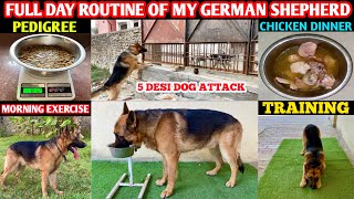 Full Day Routine Of My German Shepherd | Morning, Afternoon, Evening & Night ( MAX )