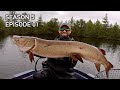 My Biggest Wisconsin Musky of All Time!  51-inch GIANT Destroys Topwater!! S5.E01