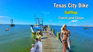 Catch Clean Gafftop Catfish( Texas City Dike)