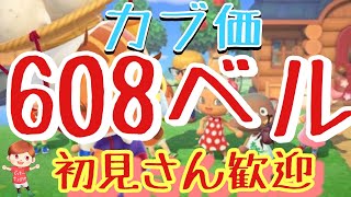 【あつ森とテトリス】カブ価635ベル608ベル島　ライブ参加型