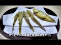 【小物釣り】ハゼ釣り。食べても美味しいハゼの釣り方。涸沼、那珂川、那珂湊港。