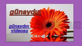 GÜNAYDIN ...En güzel günaydın videosu. #Günaydın #HayırlıSabahlar