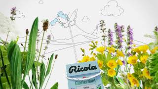 A Trace of Glacier Peppermint. A Taste of Swiss Herbs. | US | RICOLA