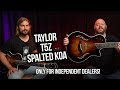 Taylor T5z Spalted Koa | Only For Independent Dealers!