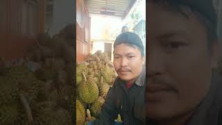 Durian Otong Terus Berdatangan Di desa Bulo Kecamatan Bulo, #PanenRaya