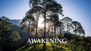 Awakening - Llewellyn Vaughan-Lee