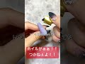 ネイルの失敗あるあるホイル編 ネイル nails ネイルデザイン ジェル ジェルネイル ネイルやり方 セルフネイル tiktok プチプラ おかば