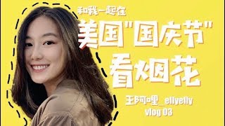 美国人“国庆节”就喜欢去广场看烟花？| 王阿哩_ellyelly | vlog 03