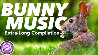 Music For Rabbits Popnable Music For Rabbits Popnable