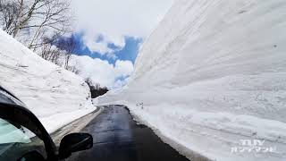 山形県　月山麓にそびえる雪の回廊