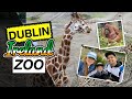 AMAZING DUBLIN ZOO | TravelVlog | Pinoy Nurse in Ireland | Nurse Raymond