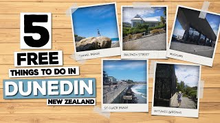 Top 5 FREE Things To Do Dunedin, New Zealand