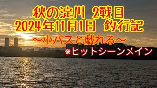 秋の淀川2戦目 釣行記！　前回は良いサイズも混じったけれど…？　（2024年11月1日釣行）　#淀川　#バス釣り