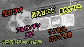 釣ガチ海上釣堀シリーズpart 73【トラフグリベンジ】実績の高いエサを揃えて挑んだ結果！