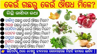 କେଉଁ ଗଛରୁ କେଉଁ ଔଷଧ ମିଳେ? | Which medicine comes from which tree? | ସମସ୍ତେ ଜାଣିବା ଦରକାର | General Gk