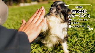 【ブリーダー紹介】株式会社フローエンス