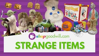 STRANGE ITEMS SOLD ON SHOPGOODWILL.COM | Behind-the-Scenes