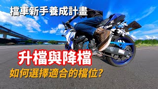 【檔車新手養成計畫】升檔與降檔｜如何降低頓挫感｜上路後檔位怎麼選｜R3