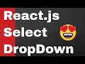 React.js Select DropDown Box Element Tutorial Using React-Select Node Library