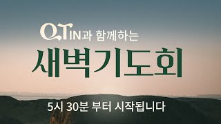 2025-02-07 (금) | 큐티인 | 누가복음 7:24-35 | 말씀을 듣고 반응하는 사람 | 손효주 목사 | 우리들교회 새벽기도회