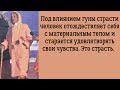 Три гуны природы страсти невежества благости. ВЕДЫ говорят. Беседы с Гуру