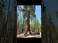 Yosemite - The Cost of Beauty  | National Parks in 60 Seconds