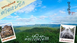 EP. 11 อุทยานแห่งชาติตาดหมอก น้ำตกตาดหมอก-สองนาง ลานชมดาว เพชรบูรณ์ | TO GO trips