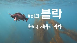 제주도 볼락루어 (JON나 만쿤!) 수중영상 및 선상낚시