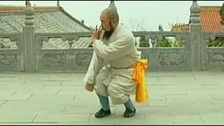 Shaolin Kung Fu Combat Styles: 6. big defensive-intent form (长护心意门: chang hu xinyi men) 1/3